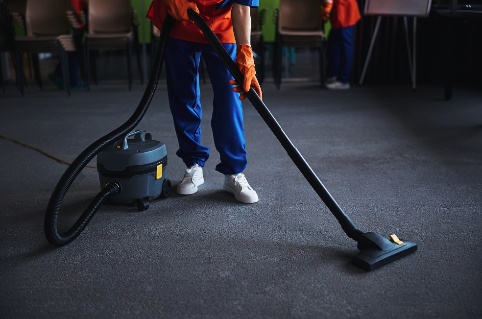Shoud I get an Upright vs. Canister Vacuum?