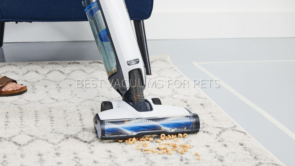 Best Vacuums for Pets – Upright Vacuums That Remove Every Trace of Pet Hair