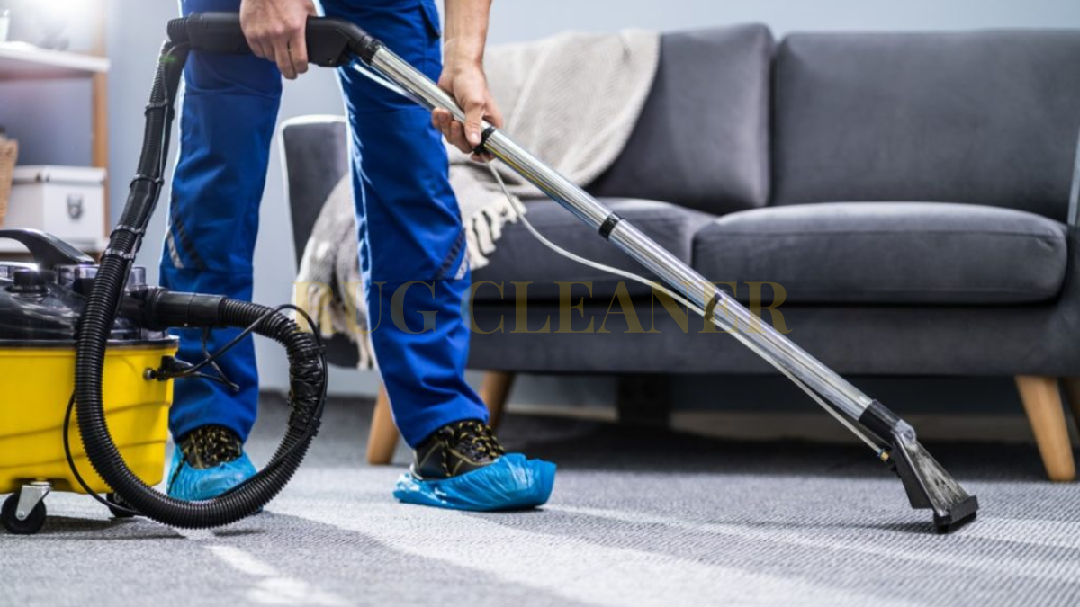 How to Choose a Rug Cleaner for Pet Stains: A Complete Guide