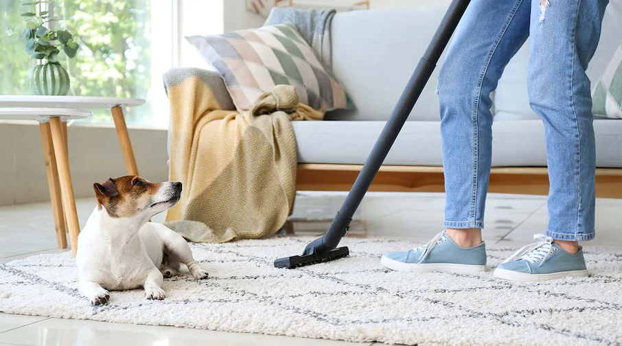 vacuum cleaner