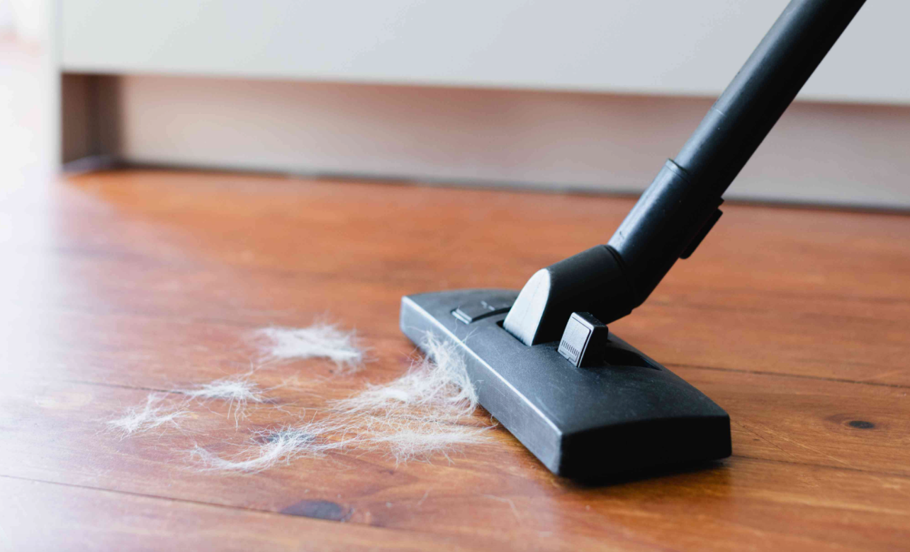 Best types of vacuum cleaner in Ottawa for pet hair