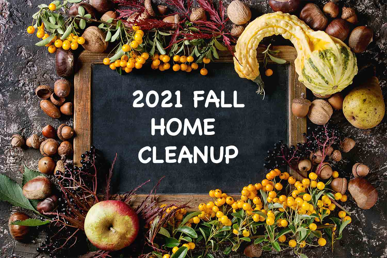 2021 Fall Clean Up From The Vacuum Store