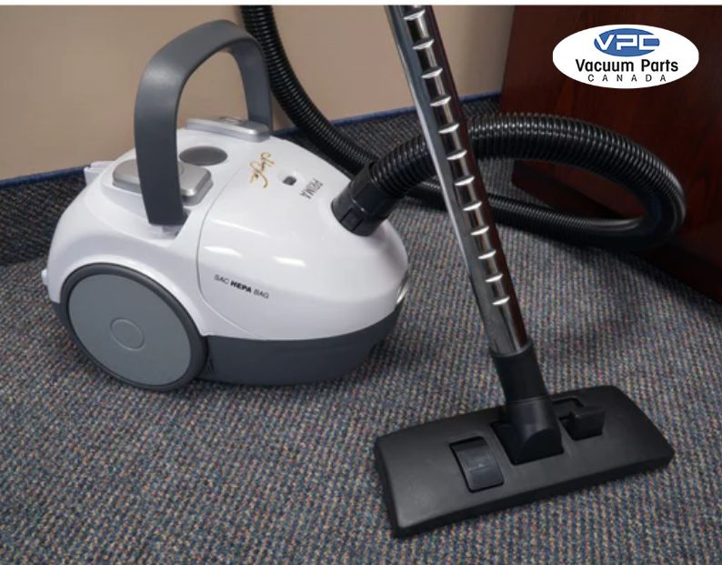 Find the Best Canister Vacuum