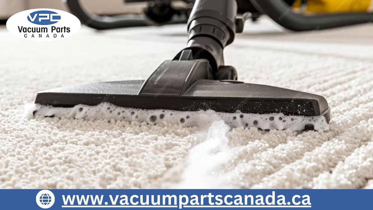 High-quality Stream carpet cleaning machines and commercial floor cleaners - the right choice for your business