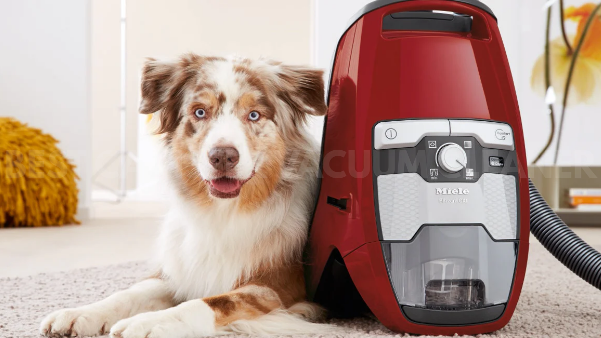 Find the Best Canister Vacuum Cleaner for Your Canadian Home