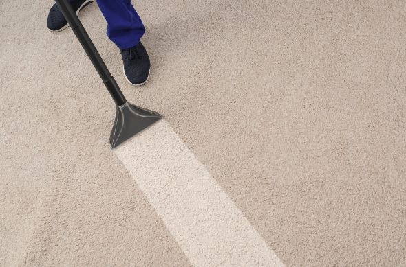 carpet cleaner