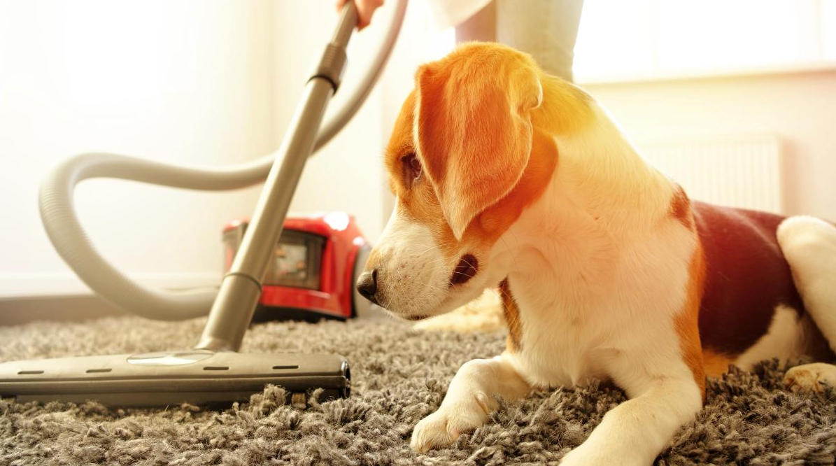 What Makes A Central Vacuum System So Beneficial To Pets?