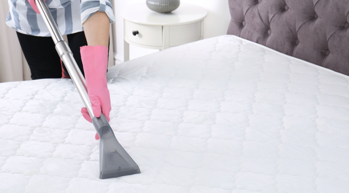 The 6 Must-Have Accessories for Every Vacuum Cleaner