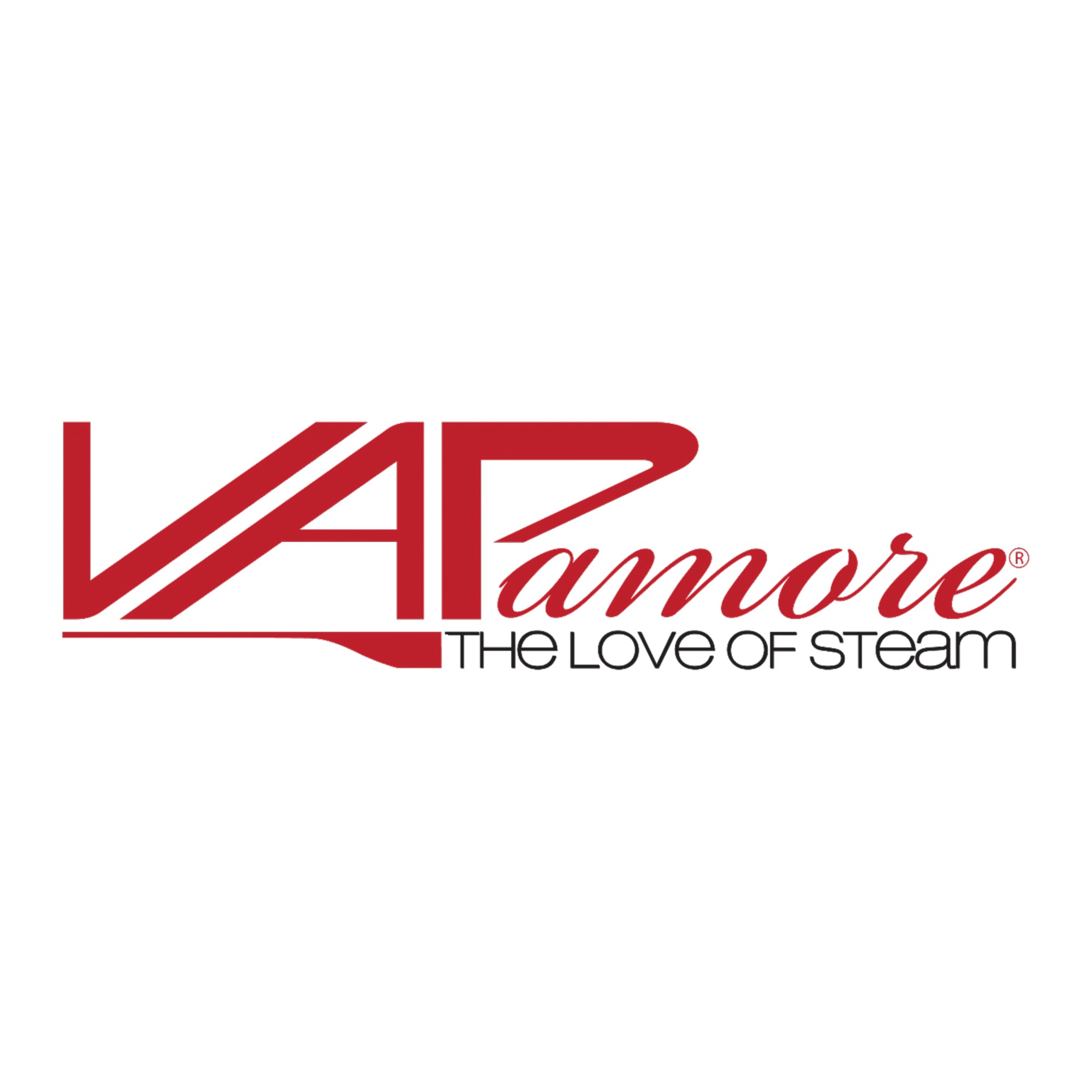 Vapamore Steam Cleaning System